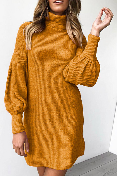 Chloe - Casual Half-Turtleneck Straight Dress